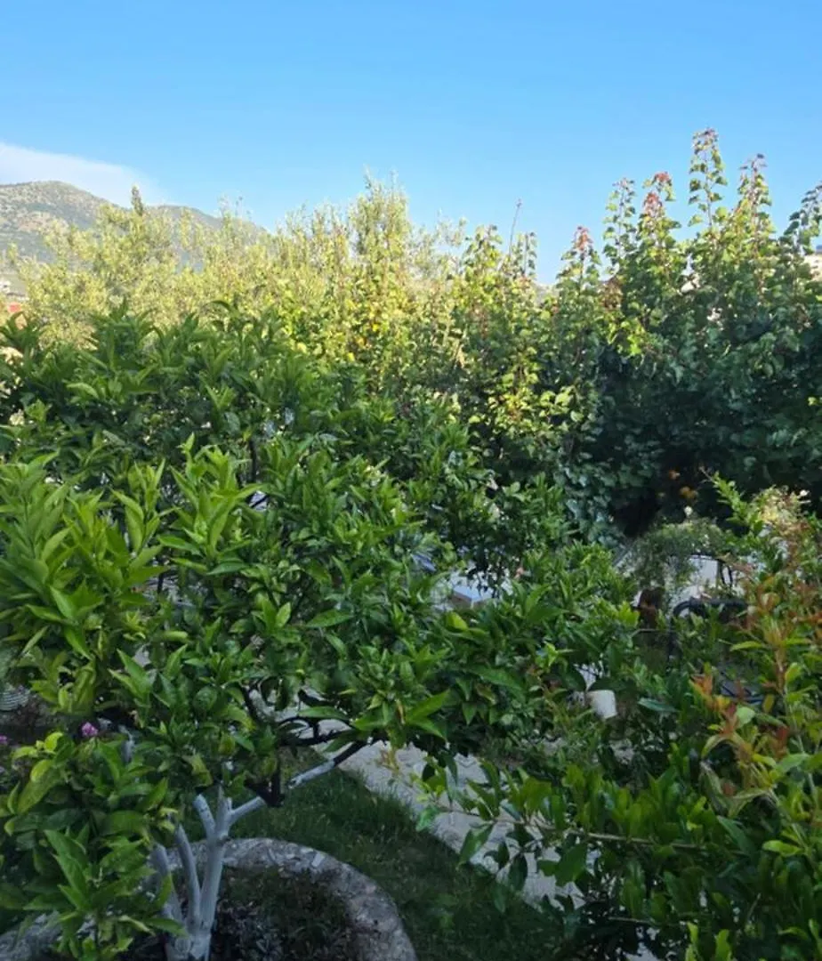 Sea Side Serenity 4 Himare Appartement